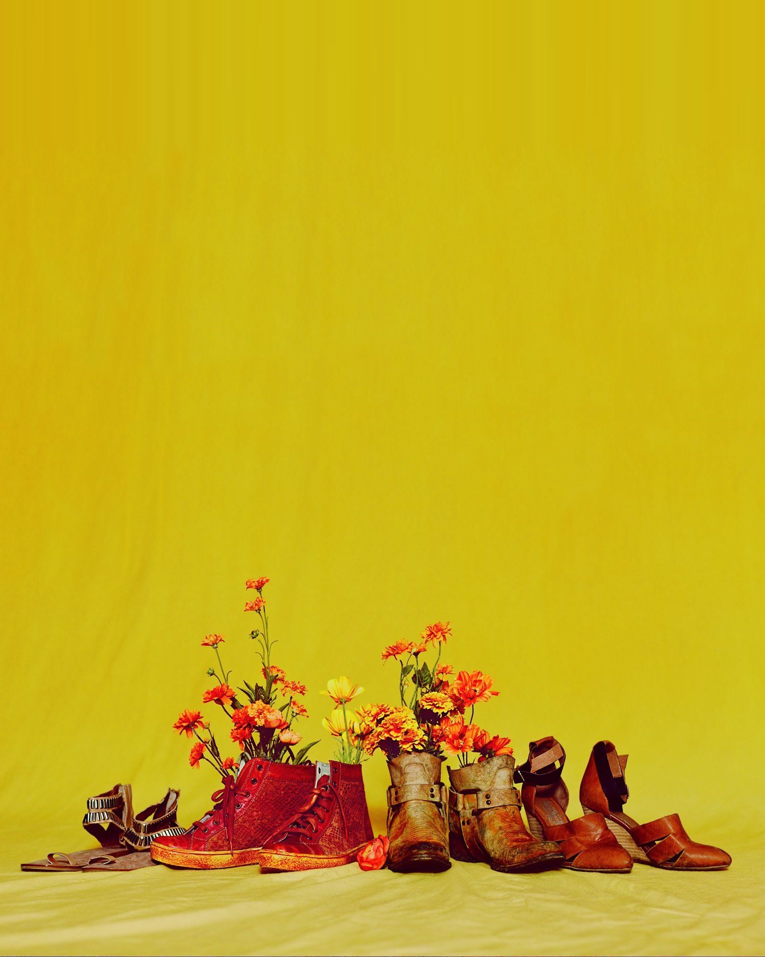 Freebird boots and shoes filled with orange flowers against a yellow backdrop